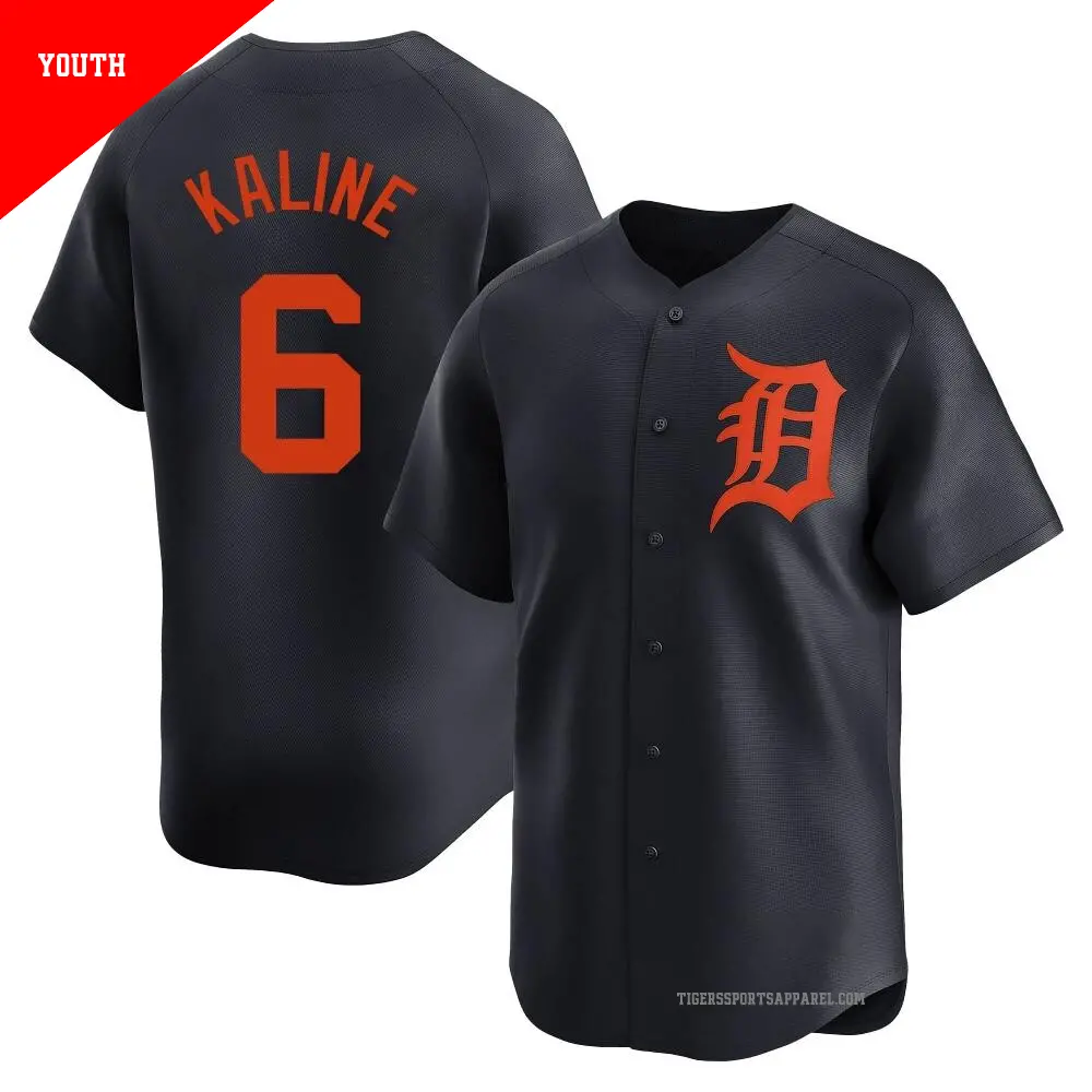 Youth ＃6 Al Kaline Detroit Tigers Navy Limited Alternate Jersey